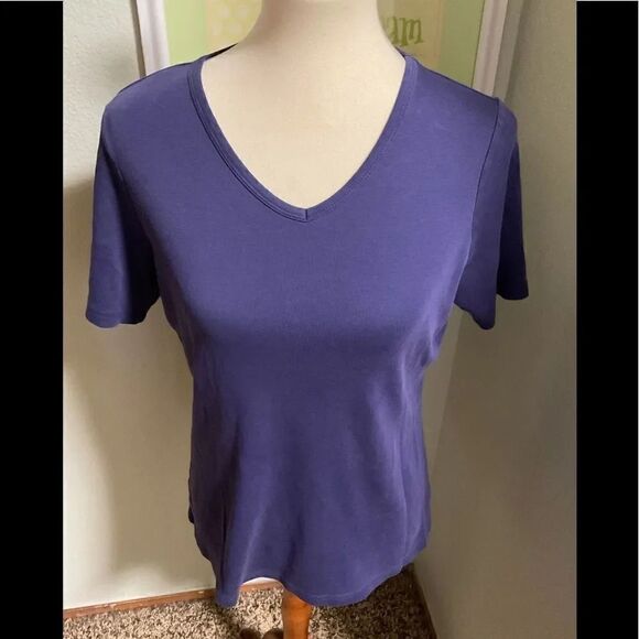EUC Purple V-neck Short Sleeve Duluth Trading Company Tee #93 - Picture 1 of 5
